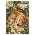 Elderly Retriever in a Sunroom paint by numbers artwork on a front-facing canvas against a white background