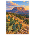 Full mesa sunset prickly pear paint by numbers artwork on a clean white background.