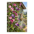 Morning Glories Garden Shed paint by numbers artwork on a front-facing canvas against a white background