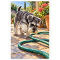 Schnauzer with a Garden Hose paint by numbers artwork on a front-facing canvas against a white background
