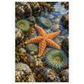 Full tidal pool starfish anemone paint by numbers artwork on a clean white background.
