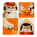 Orange Cat Playful Collage completed artwork on a clean white background