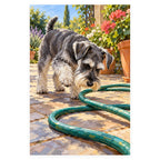 Schnauzer with a Garden Hose completed artwork on a clean white background