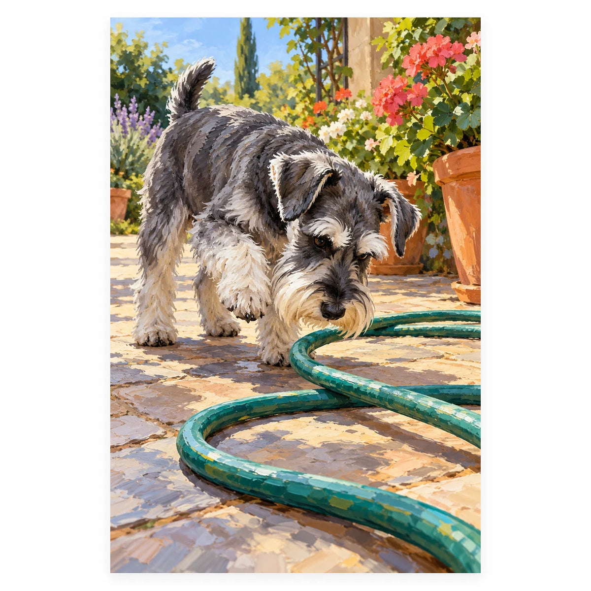 Schnauzer with a Garden Hose completed artwork on a clean white background
