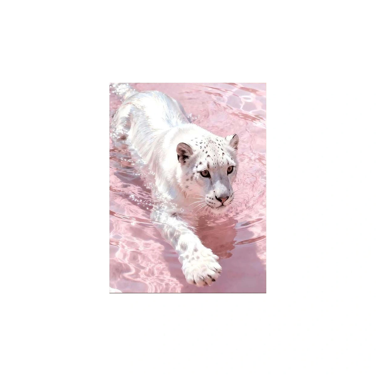 White Tiger in Pink Water completed original artwork on a clean white background