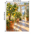 Glasshouse Citrus Saplings paint by numbers canvas shown with 15.7 × 19.7 in (40 × 50 cm) dimensions
