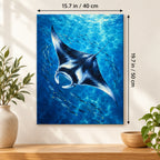 40 × 50 cm (15.7 × 19.7 in) size guide for Manta Ray in Blue Water paint by numbers kit