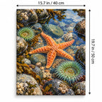Portrait 40 × 50 cm size guide for the tidal pool starfish anemone paint by numbers kit.