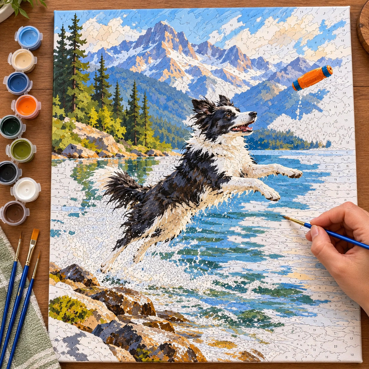 Painting process for Border Collie Lake Leap paint by numbers kit