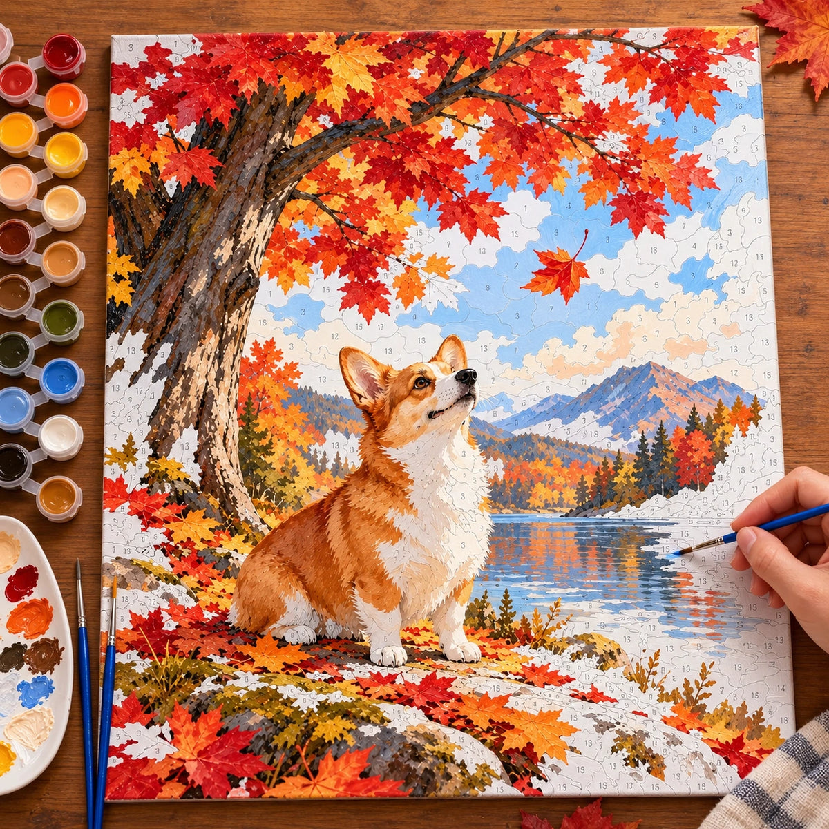 Painting process for Corgi Under Maple Tree paint by numbers kit
