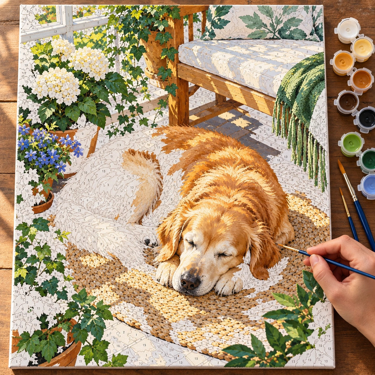 Painting process for Elderly Retriever in a Sunroom paint by numbers kit
