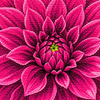 Diamond drill detail for Vibrant Garden Bloom Diamond Painting Kit