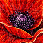 Diamond drill detail for Vivid Scarlet Poppy Diamond Painting Kit