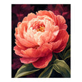 Original artwork for Coral Glow Peony Diamond Painting Kit on a white background