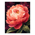 Original artwork for Coral Glow Peony Diamond Painting Kit on a white background