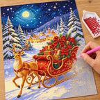 Reindeer Christmas Gift Sleigh diamond painting process