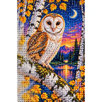 Barn Owl White Birch Twilight Diamond Painting Kit — canvas and drill material detail