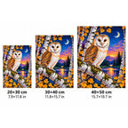 Barn Owl White Birch Twilight Diamond Painting Kit — 20 by 30, 30 by 40, and 40 by 50 centimeter size guide