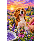 Beagle Wildflower Meadow Diamond Painting Kit — diamond painting application process
