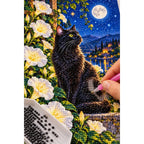 Black Cat Luminous Moonflowers Diamond Painting Kit — diamond painting application process