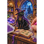 Black Cat Mystic Library Diamond Painting Kit diamond placement process