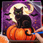 Black Cat Pumpkin Moon Pearl Diamond Painting Kit process image
