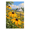 Golden black-eyed Susans in a sunny country field around a white barn: original artwork on a clean white background
