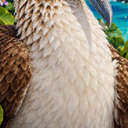 Close-up diamond detail of the booby's patterned feathers and blue foot