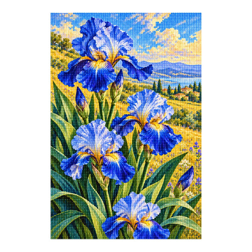 Blue irises among golden field grasses: finished diamond painting on a white background