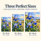 Blue irises among golden field grasses: size guide showing three available dimensions