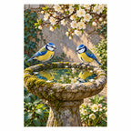 Original artwork of two blue tits at a stone birdbath beneath white spring blossoms