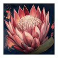 Original artwork for Blush Crown