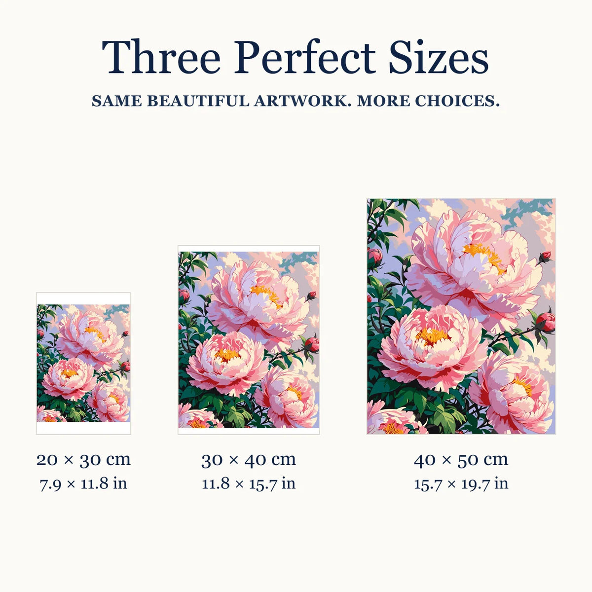 Size guide for Blush Peony Bloom Diamond Painting Kit: 20 × 30 cm, 30 × 40 cm, and 40 × 50 cm.