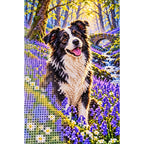 Border Collie Bluebell Woodland Diamond Painting Kit — canvas and drill material detail