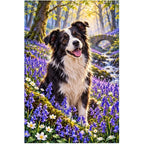 Border Collie Bluebell Woodland Diamond Painting Kit — original white-background artwork