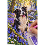 Border Collie Bluebell Woodland Diamond Painting Kit — diamond painting application process