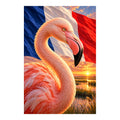 A pink flamingo standing in Camargue wetlands beneath a French tricolor sunset