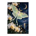 White-background original artwork of a pale luna moth among orchids beneath a crescent moon
