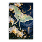 White-background original artwork of a pale luna moth among orchids beneath a crescent moon