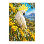 Original Cockatoo Wattle Blossom artwork on a white background.