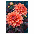 Coral dahlias against a midnight background: original artwork on a white background