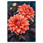 Coral dahlias against a midnight background: original artwork on a white background