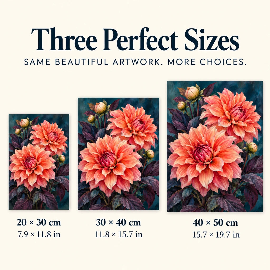 Coral dahlias against a midnight background: size guide showing three available dimensions