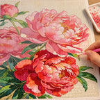 Diamond painting process for Coral Peonies in Bloom Diamond Painting Kit, with drills being placed over several coral and pink peony blooms with layered petals and green leaves.
