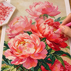 Diamond painting process for Coral Peony Cluster Diamond Painting Kit, with drills being placed over a close arrangement of warm coral and pink peony flowers.