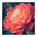 Original artwork for Coral Blaze Peony