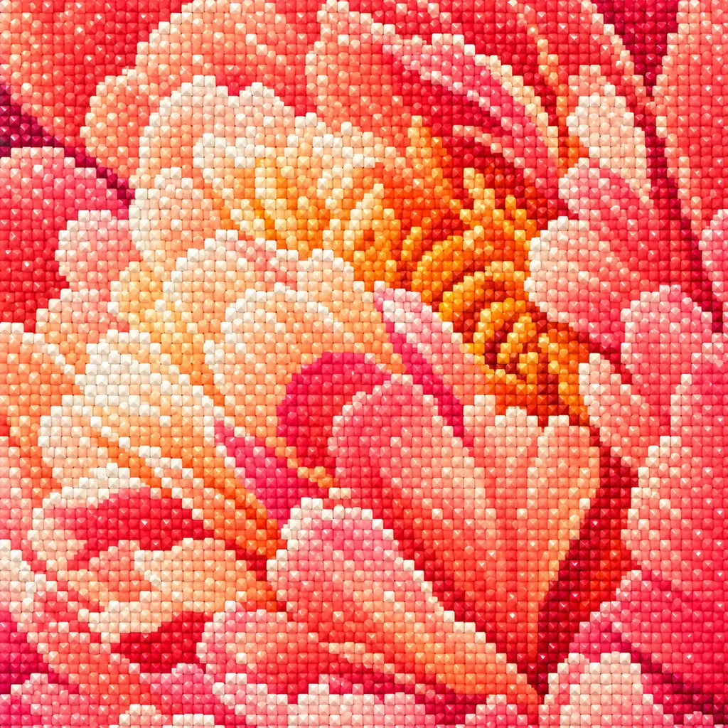 Close-up diamond drill detail of Coral Blaze Peony