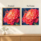 Framed and no-frame comparison for Coral Blaze Peony