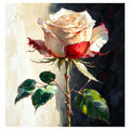 Crimson and Ivory Rose on a Dark Background: original