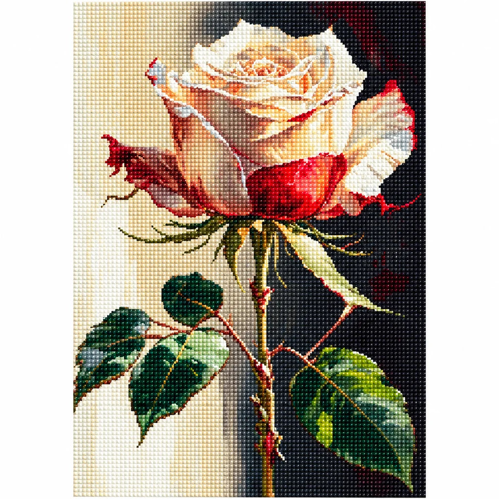 Crimson and Ivory Rose on a Dark Background: finished